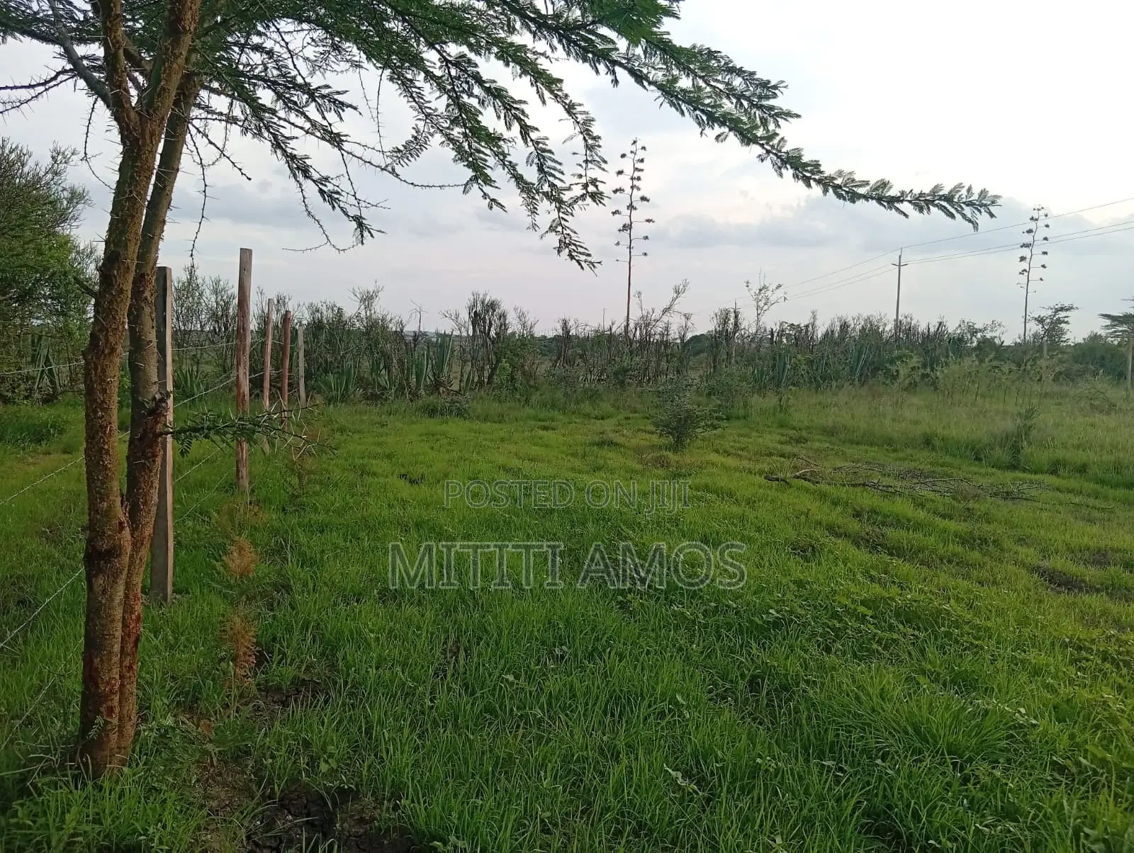 1/2 an Acre Muting'a Malaa