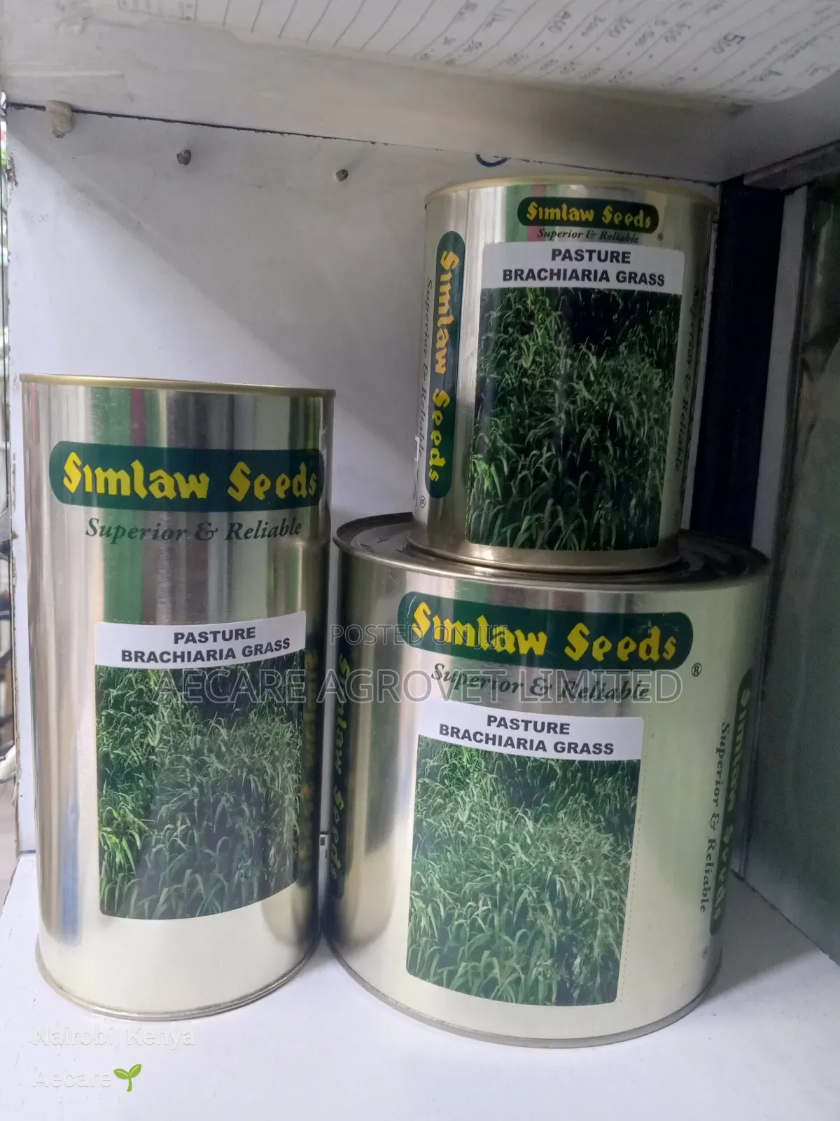 Bracharia Pasture Grass Seeds 250g, 500g, 1kg
