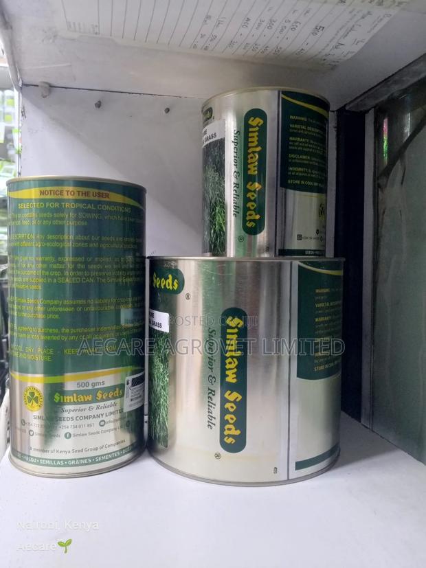 Bracharia Pasture Grass Seeds 250g, 500g, 1kg - thumbnail 4