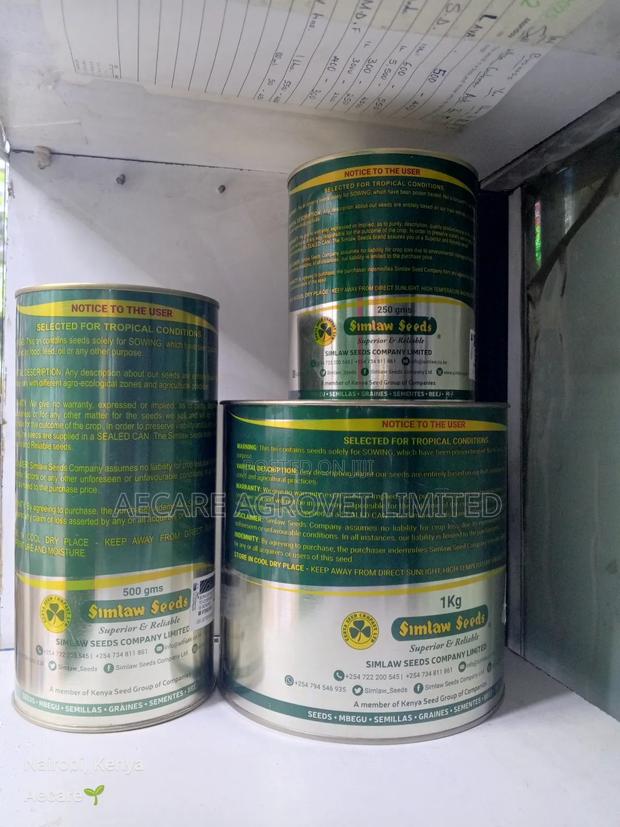 Bracharia Pasture Grass Seeds 250g, 500g, 1kg - thumbnail 5