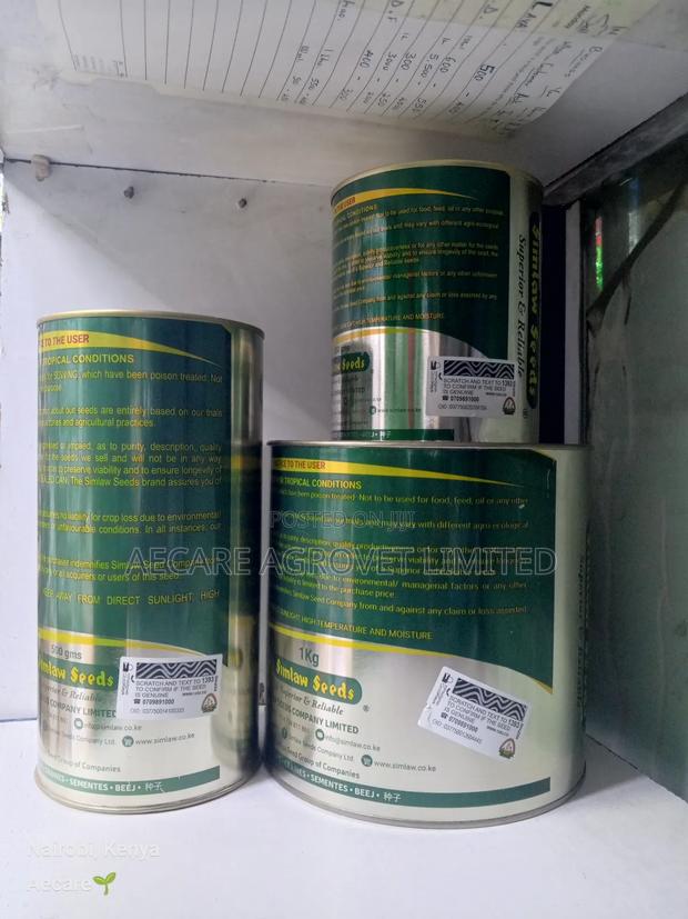 Bracharia Pasture Grass Seeds 250g, 500g, 1kg - thumbnail 6