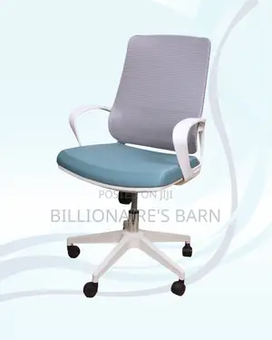White Ergonomic Mesh Office Chair Mid Back Lumbar Support Workspace