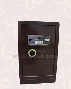 Fireproof Biometric Safe 70 Kg Programmable Keypad And Dual