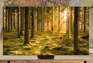 Samsung 85"Inch Duo800 Brand New