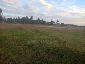 8 Acres in Market - thumbnail 2