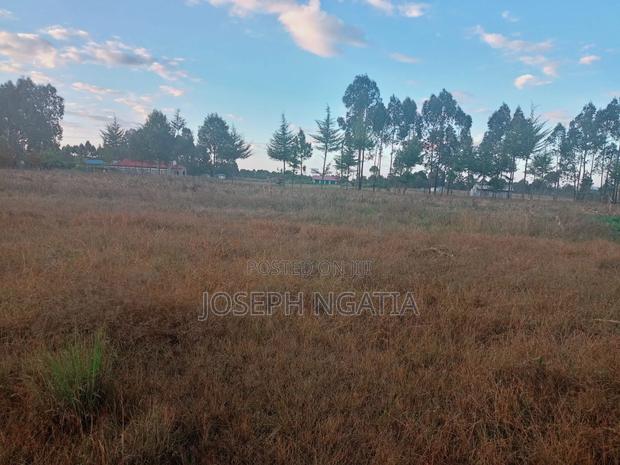 8 Acres in Market - thumbnail 3