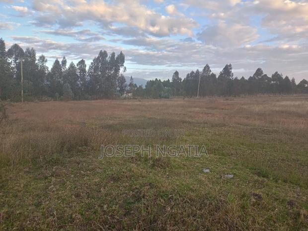 8 Acres in Market - thumbnail 4