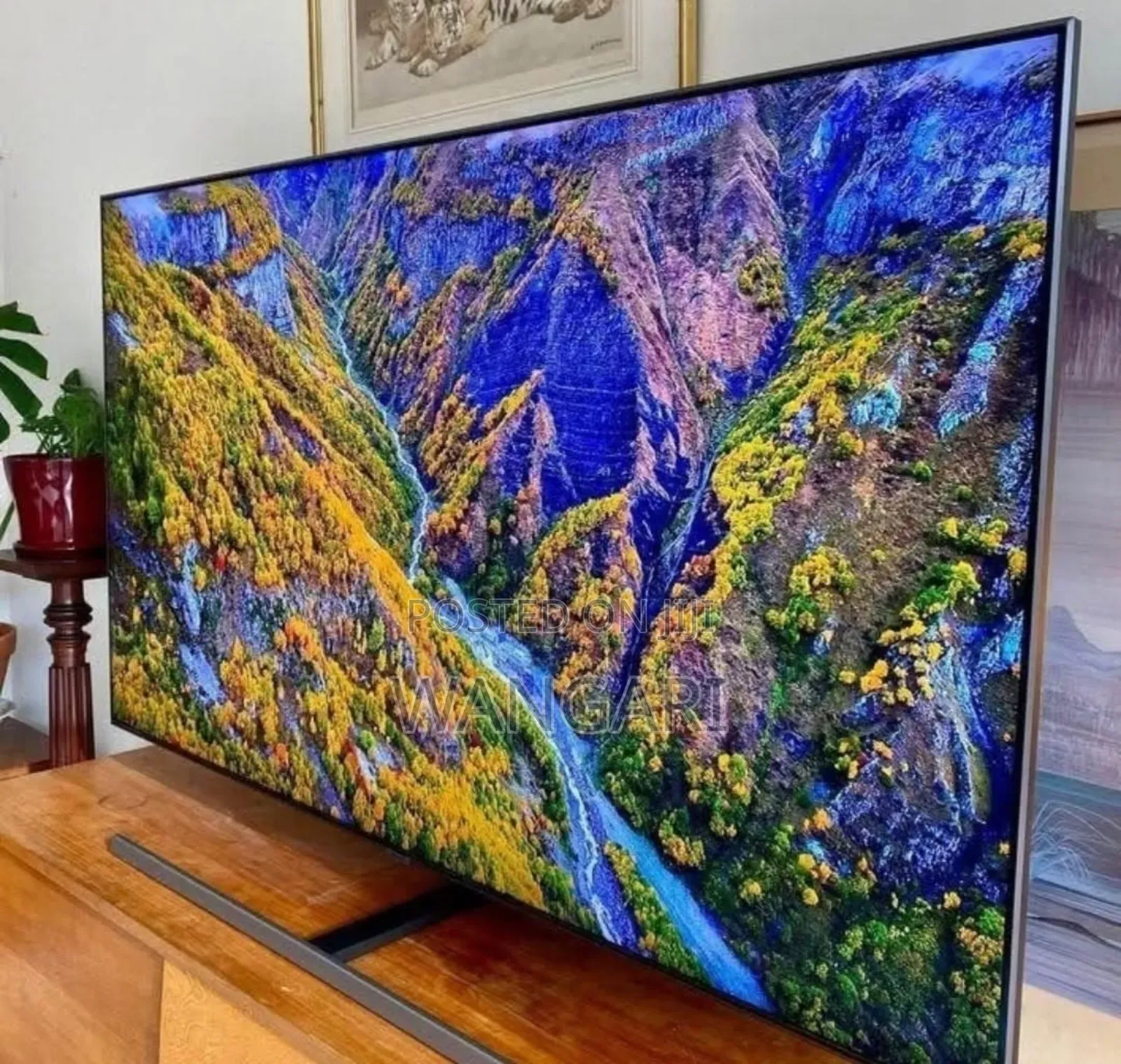Youtube Netflix/ Samsung 75 Inch Television