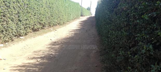 50*100 Plot on Quick Sale