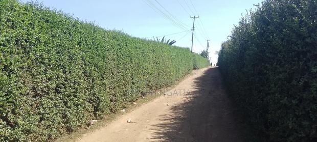50*100 Plot on Quick Sale - thumbnail 2