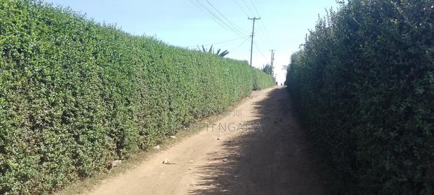 50*100 Plot on Quick Sale - thumbnail 3