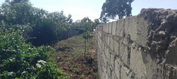 50*100 Plot on Quick Sale - thumbnail 4
