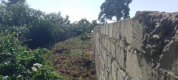 50*100 Plot on Quick Sale - thumbnail 5