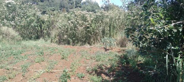 50*100 Plot on Quick Sale - thumbnail 6