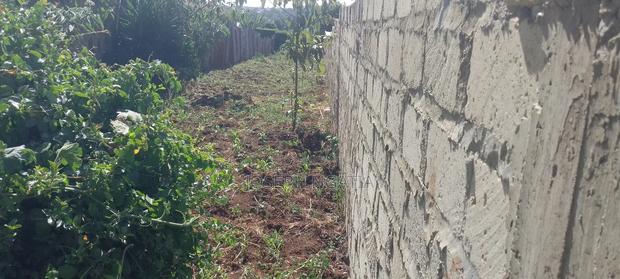 50*100 Plot on Quick Sale - thumbnail 7