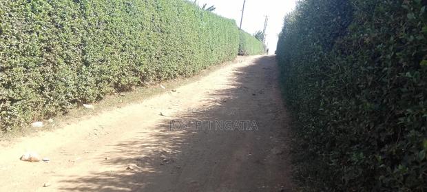 50*100 Plot on Quick Sale - thumbnail 9