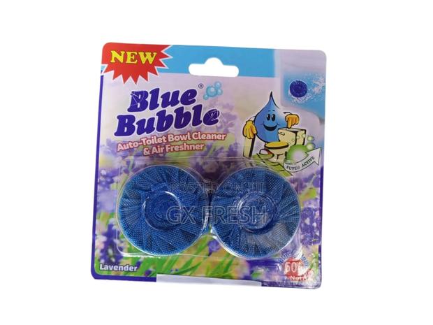 Auto Toilet Cleaner - main view