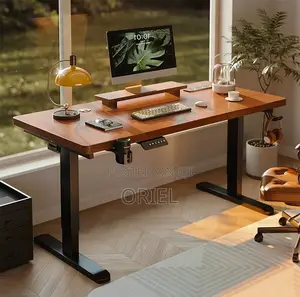 Standing Desks: Electric Standing Desk for Home Office