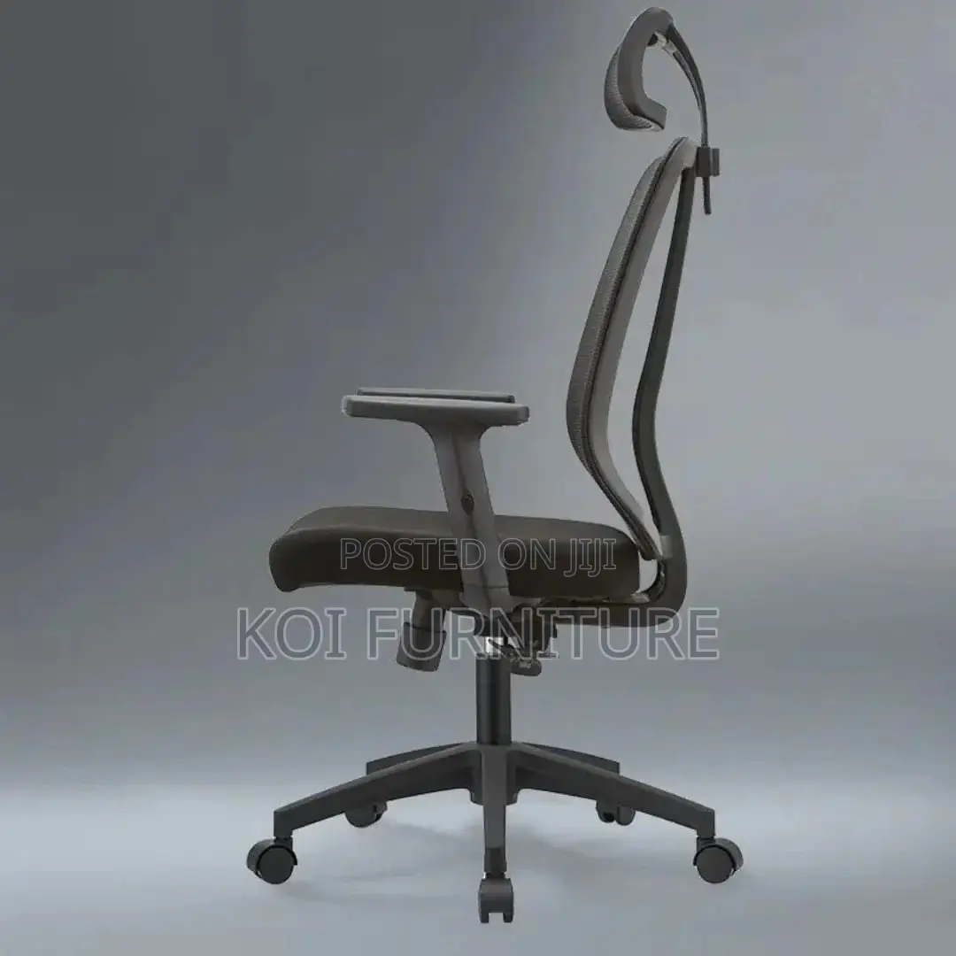 Office Chair : High-Back Orthopedic Executive Chair