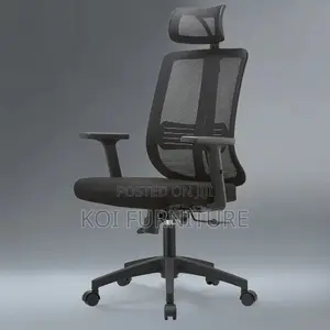 Office Chair : High-Back Orthopedic Executive Chair