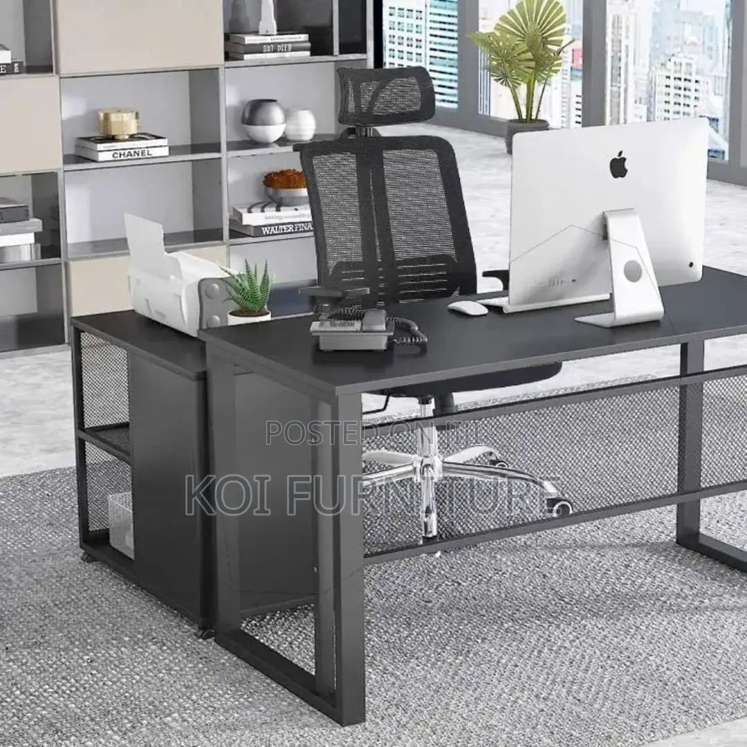 Office Chair : High-Back Orthopedic Executive Chair