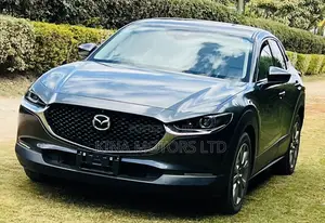 Mazda CX-30 2019 Gray