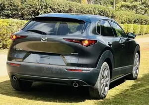 Mazda CX-30 2019 Gray