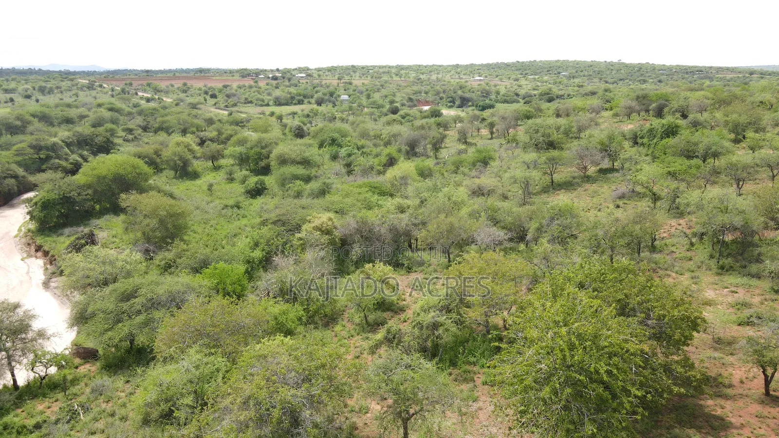 6 Acres Mashuru at Per Acre