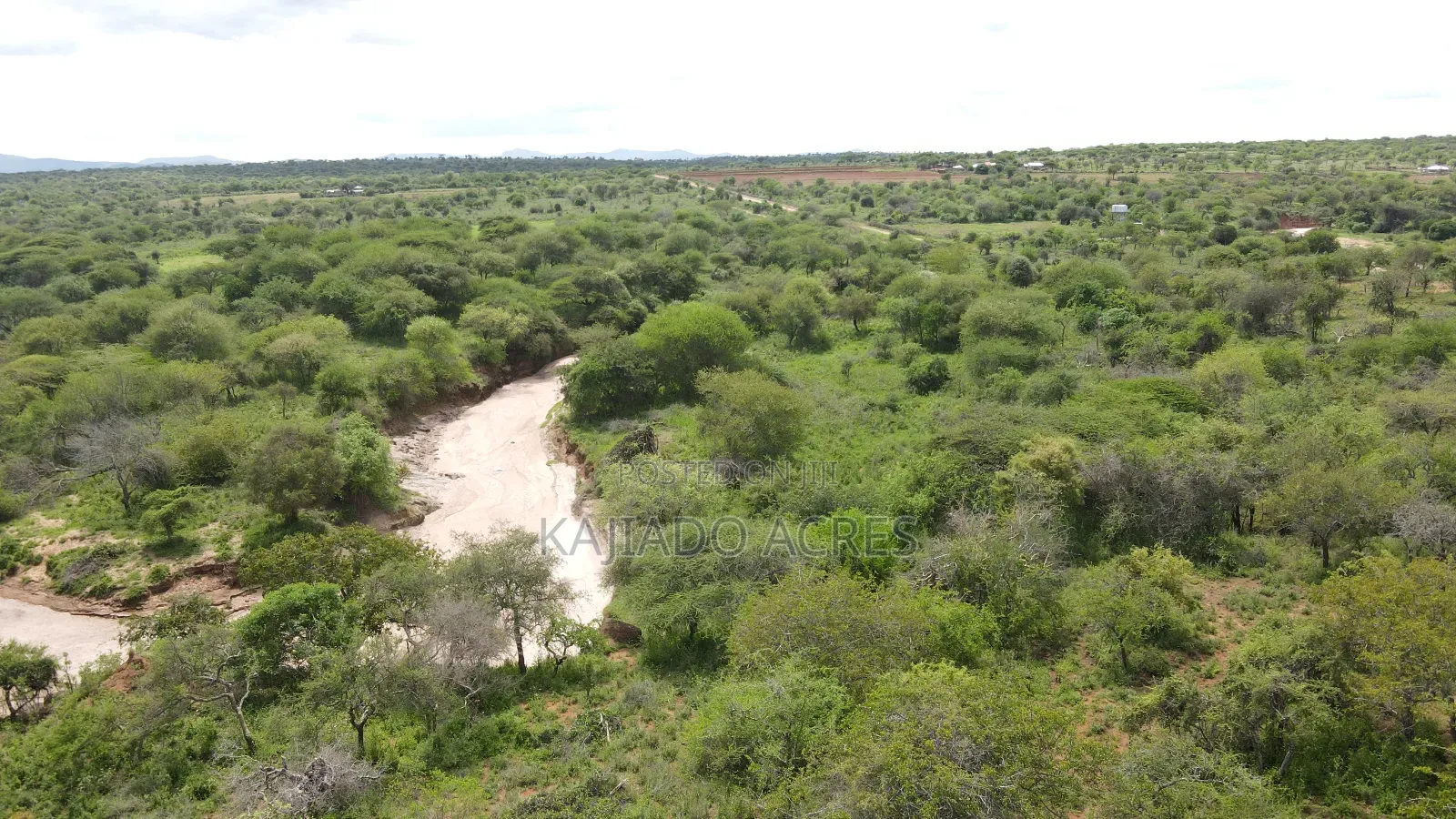 6 Acres Mashuru at Per Acre