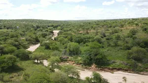 6 Acres Mashuru at Per Acre