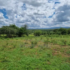 6 Acres Mashuru at Per Acre