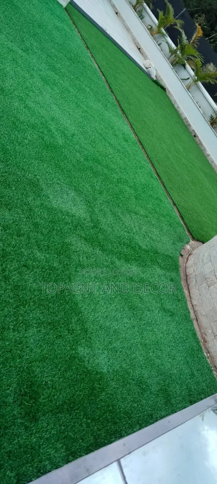Beautiful Durable Green Grass