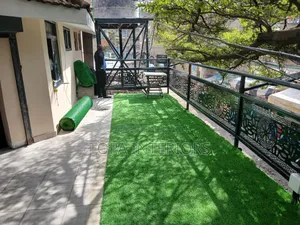 Front Yard Green Floor Carpets Installation