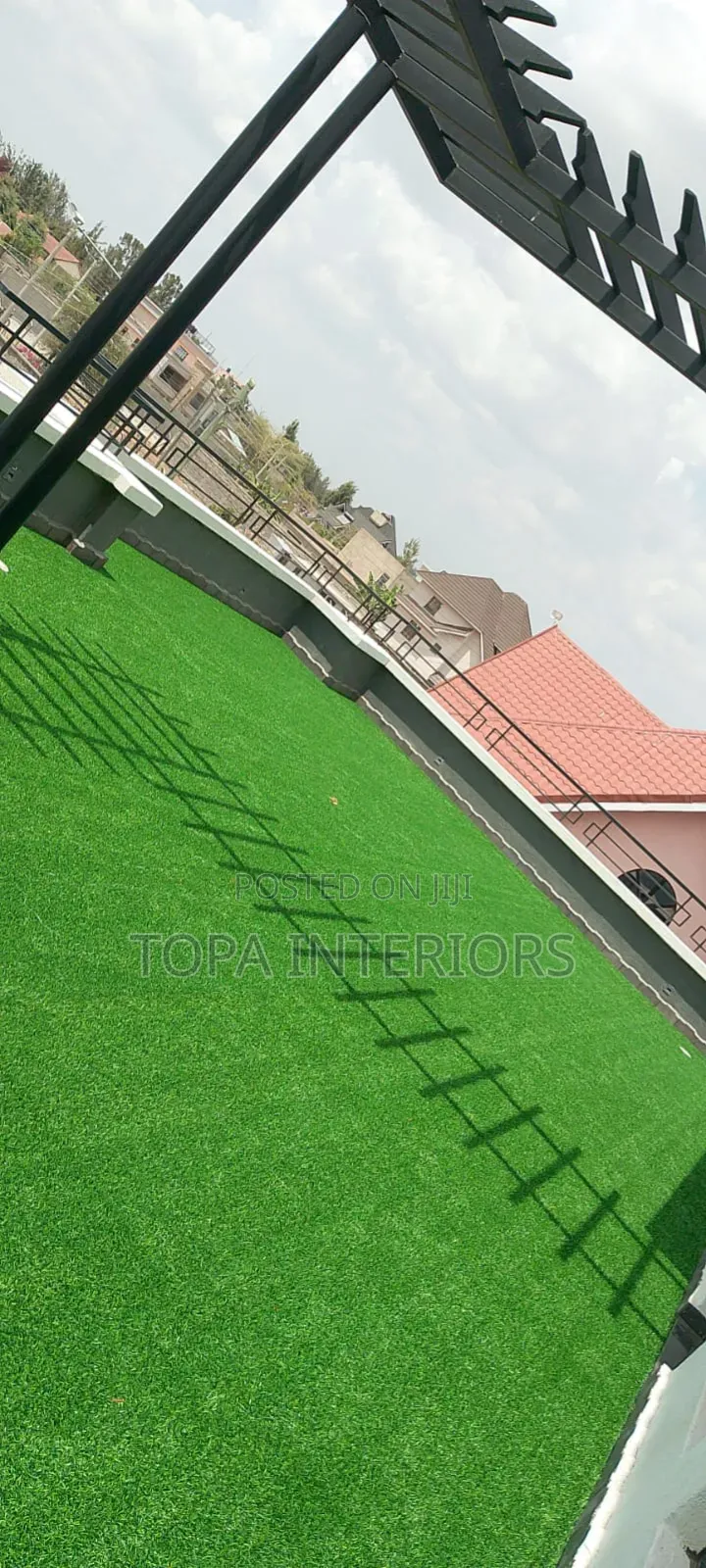 Rain and Sun Friendly Outdoor Carpet Rugs for Rooftop Decor