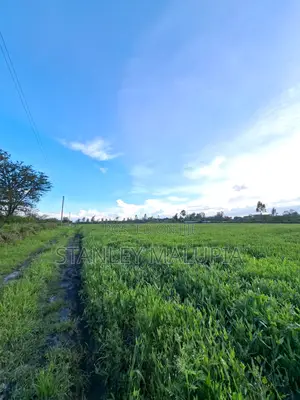 16 Acres for Sale – Kandisi, Ongata Rongai Per Acre 20m