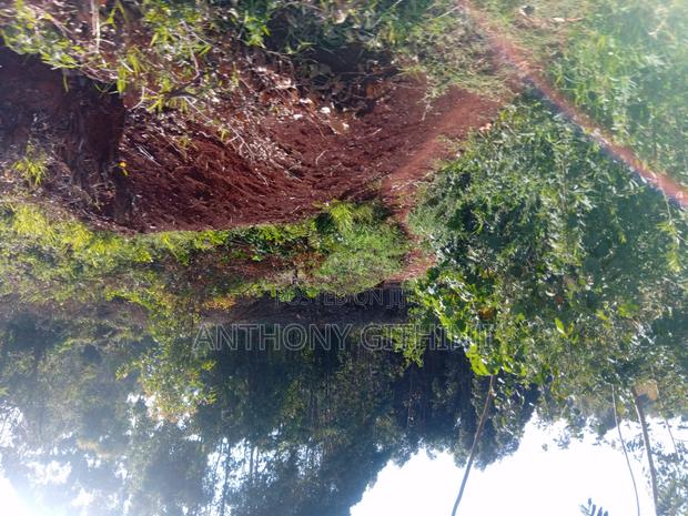 1/4 Acre Nyathuna - thumbnail 2