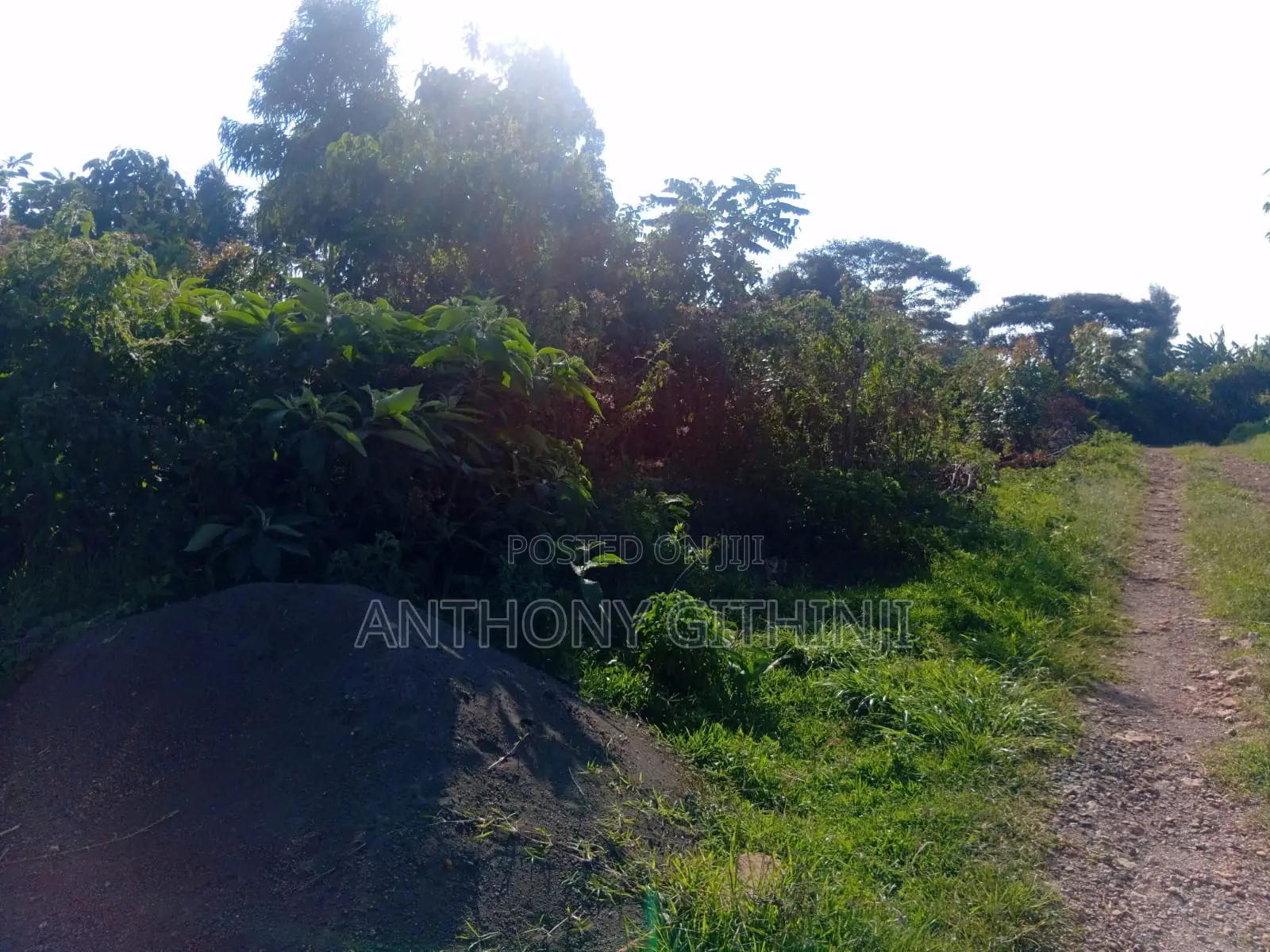 1/4 Acre Nyathuna