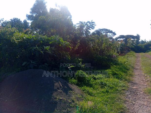 1/4 Acre Nyathuna - thumbnail 4