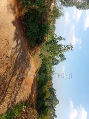 1/4 Acre Nyathuna