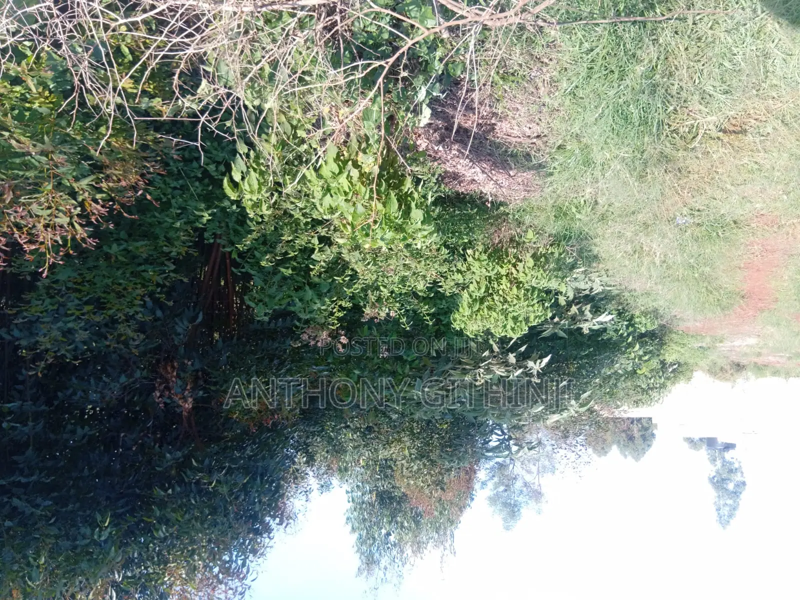 1/4 Acre Nyathuna