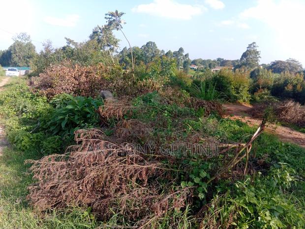 1/4 Acre Nyathuna - thumbnail 7