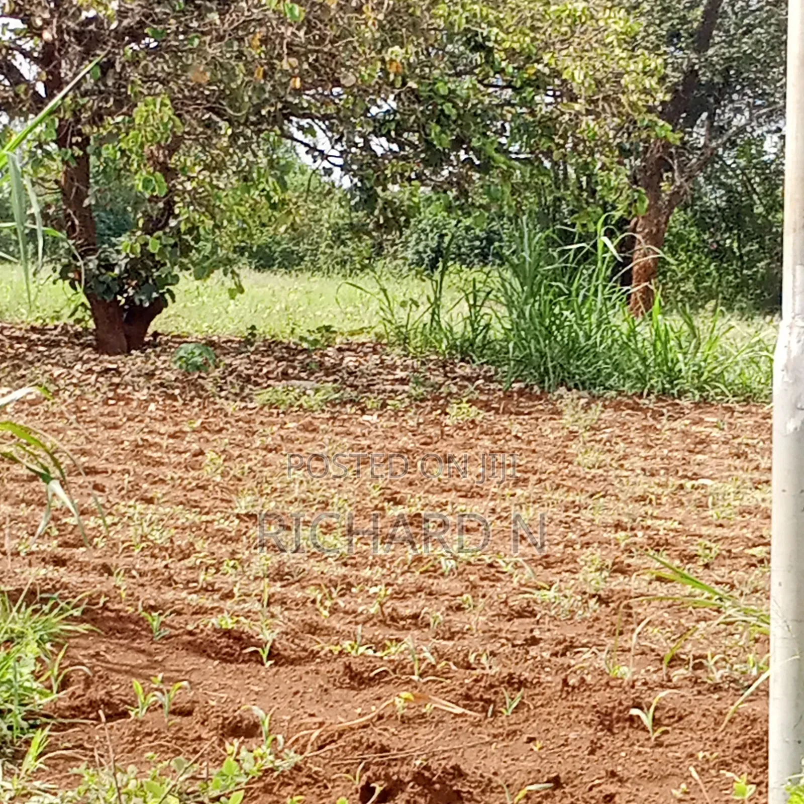 Prime 50x100 Plot for Sale at Embu Njukiri Area