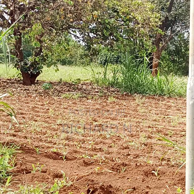 Prime 50x100 Plot for Sale at Embu Njukiri Area
