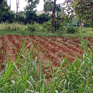 Prime 50x100 Plot for Sale at Embu Njukiri Area