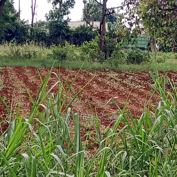 Prime 50x100 Plot for Sale at Embu Njukiri Area - thumbnail 2