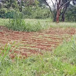 Prime 50x100 Plot for Sale at Embu Njukiri Area