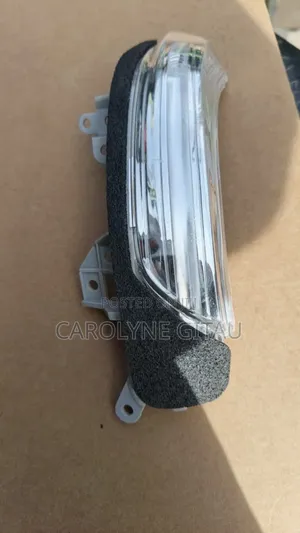 Side Mirror Indicator/Blinker for Wish Passal,Ractis