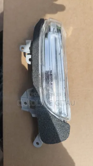 Side Mirror Indicator/Blinker for Wish Passal,Ractis