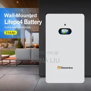 Dawnice 16kwh Wall-Mount Solar Battery 51.2v 314ah Lifepo4