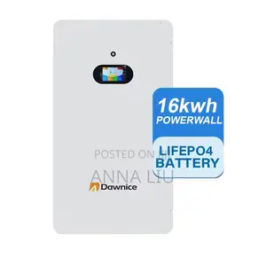 16kwh Dawnice Solar Battery 51.2v 314ah Home Storage